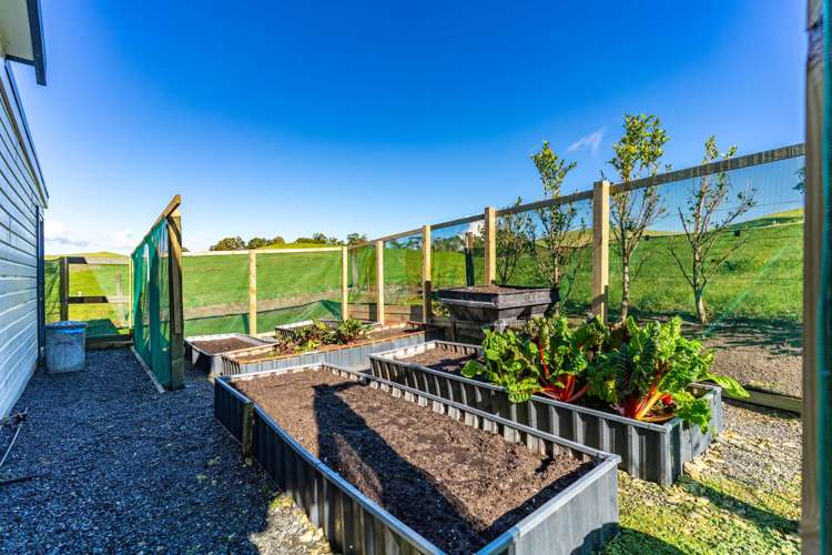 264 Bee Bush Road Dargaville_20