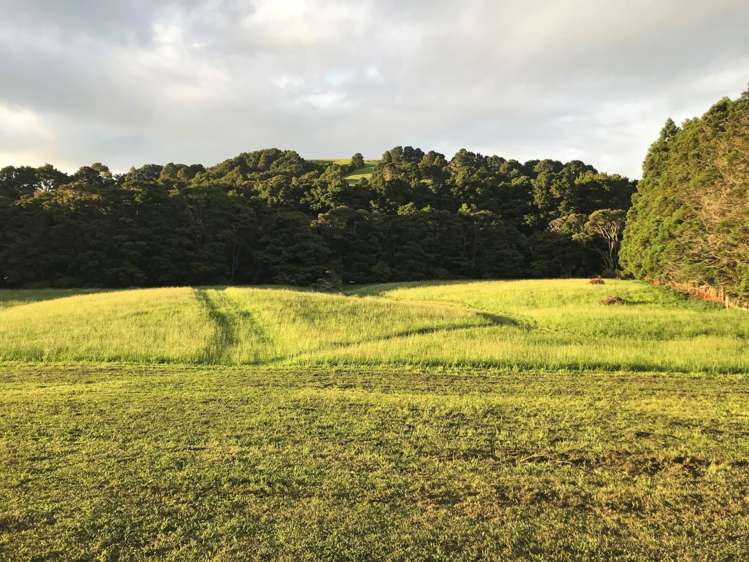 793 Whangaripo Valley Road Whangaripo_32