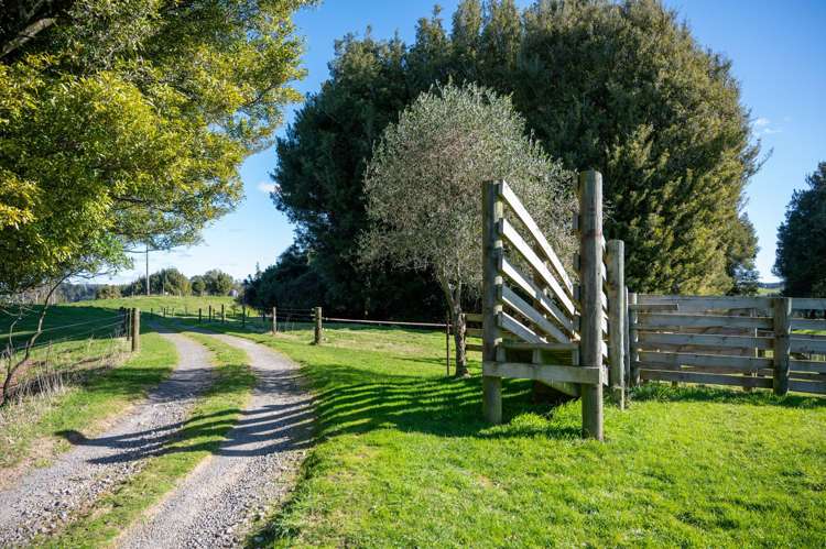 99 Kapukapu Road Hamurana_40