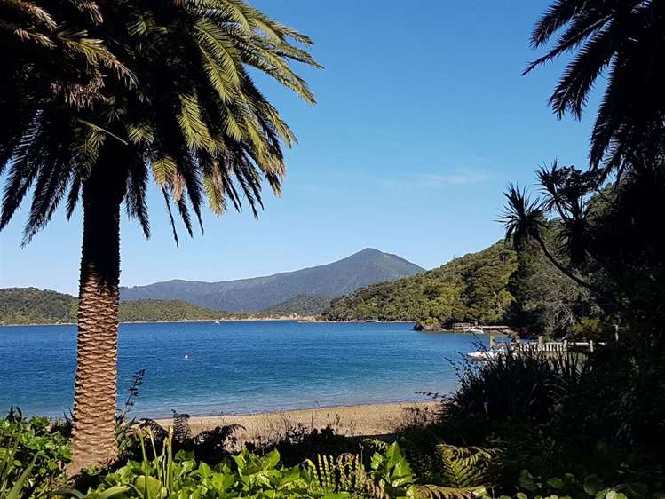 Torea Moua Bay Marlborough_13