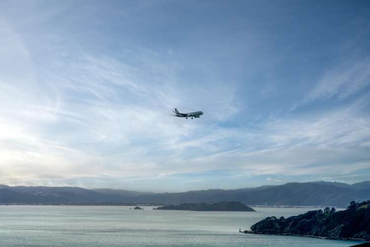 11/9 Arawa Road Hataitai_16