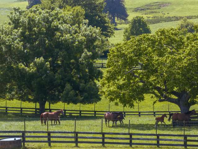 Quintessentially Waikato