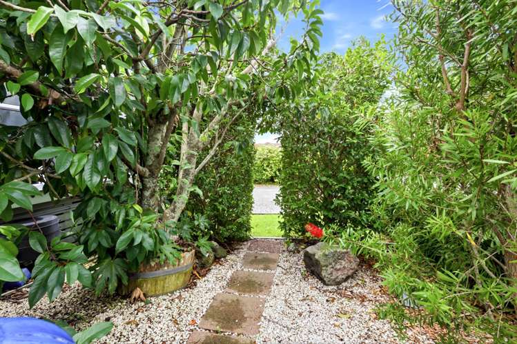 1377A Dominion Road Extension Mount Roskill_17