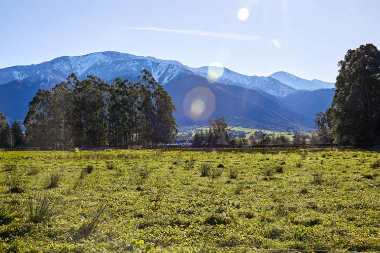 Schoolhouse Road Kaikoura_5