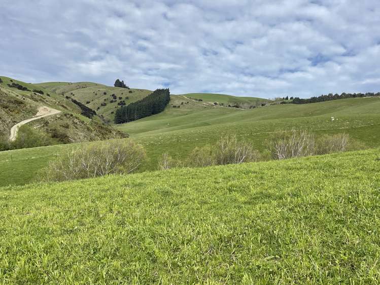 186 Murray Road Lawrence_16