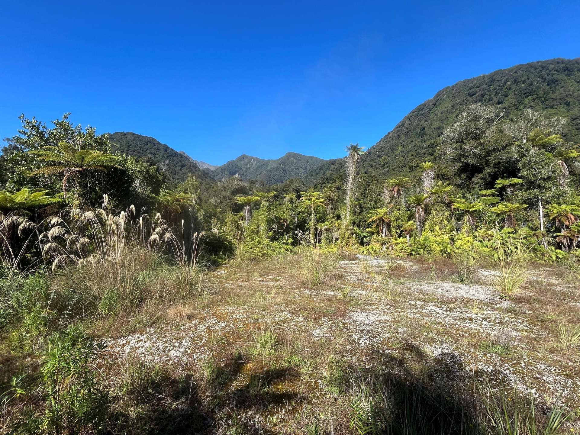 3 Batson Place Franz Josef Glacier_0
