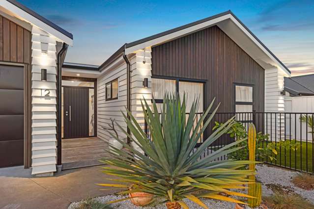 12 Mida Close Papamoa_1