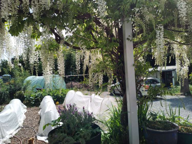 2 Commercial Road Oxford_23