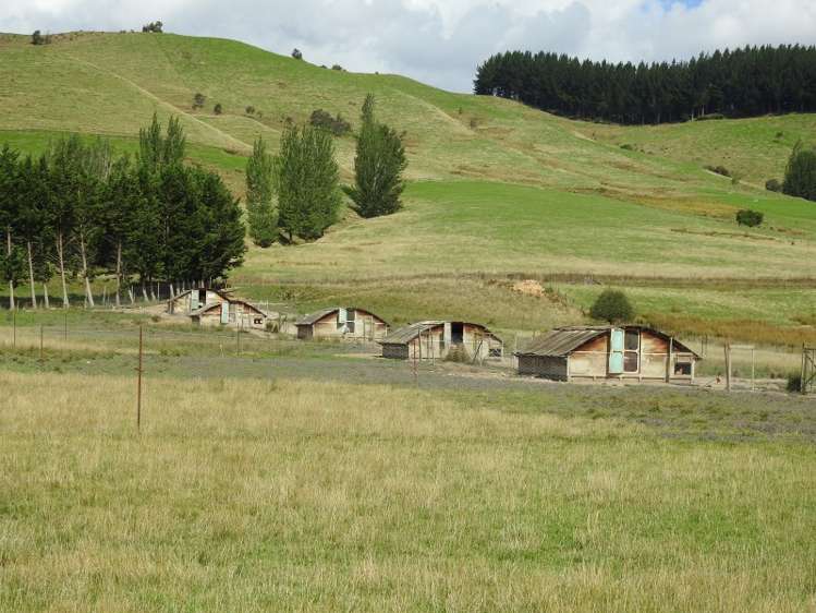 38 Slippery Road Tapawera_5