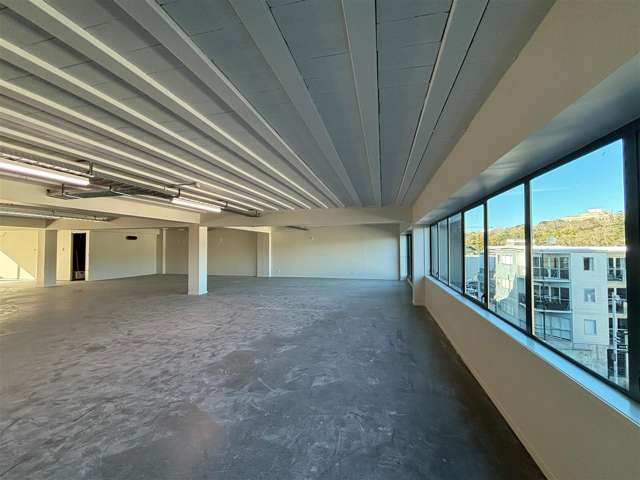 11-13 Falcon Street Parnell_4