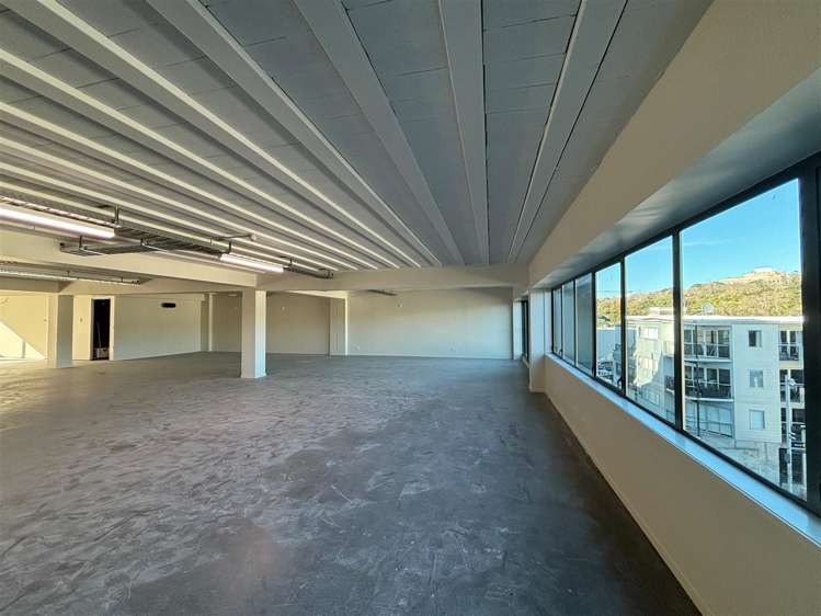 11-13 Falcon Street Parnell_4