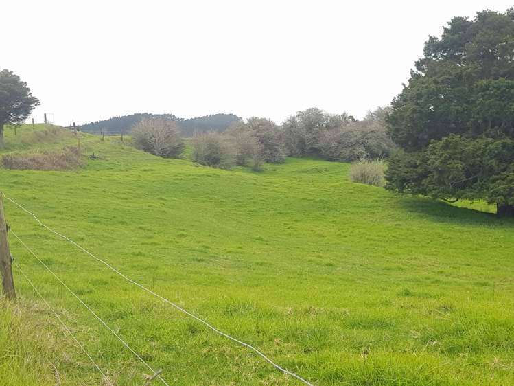 504 Wairere Road Paparoa_29
