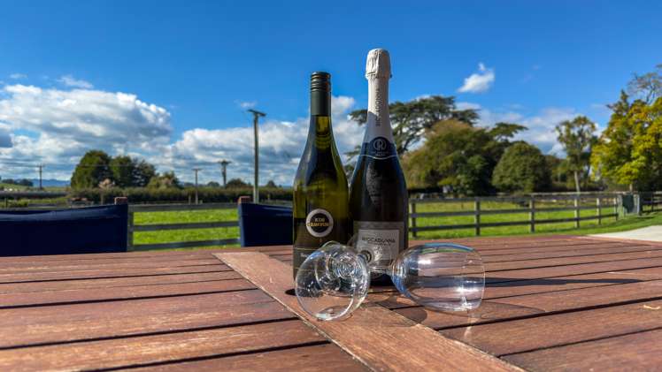 37 State Highway 27 Tirau_13