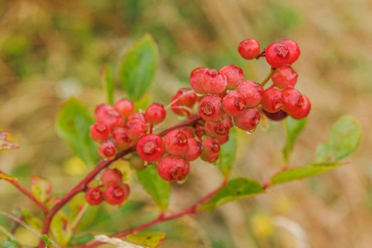 790 Pungaere Road Kerikeri Surrounds_8