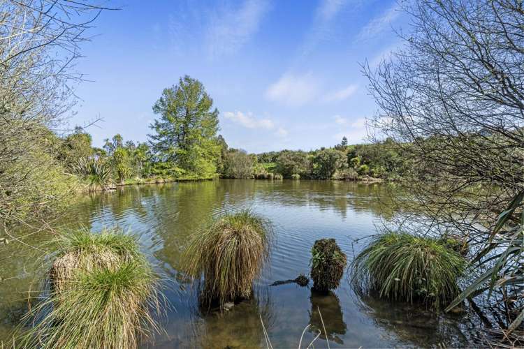 C/194 Duck Road Rotokauri_27