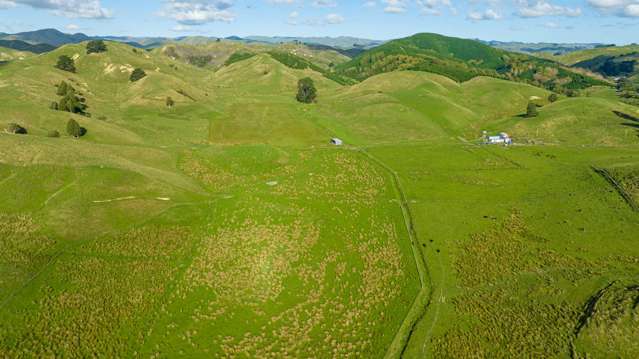 Kaitawa Road Pahiatua_1