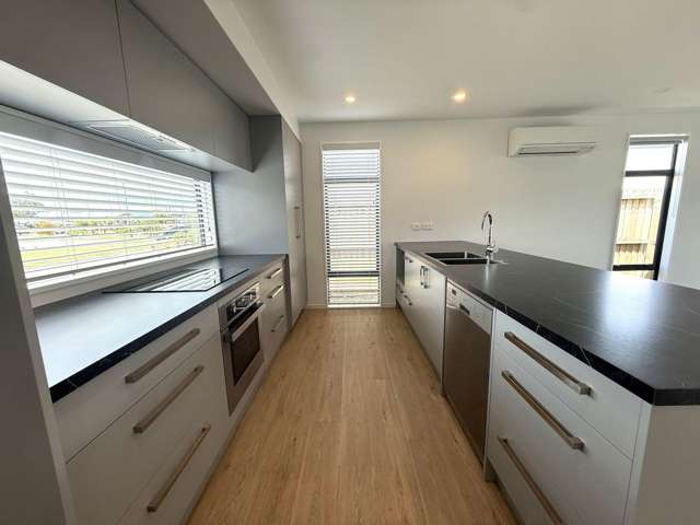 93 Manakura St Russley_1