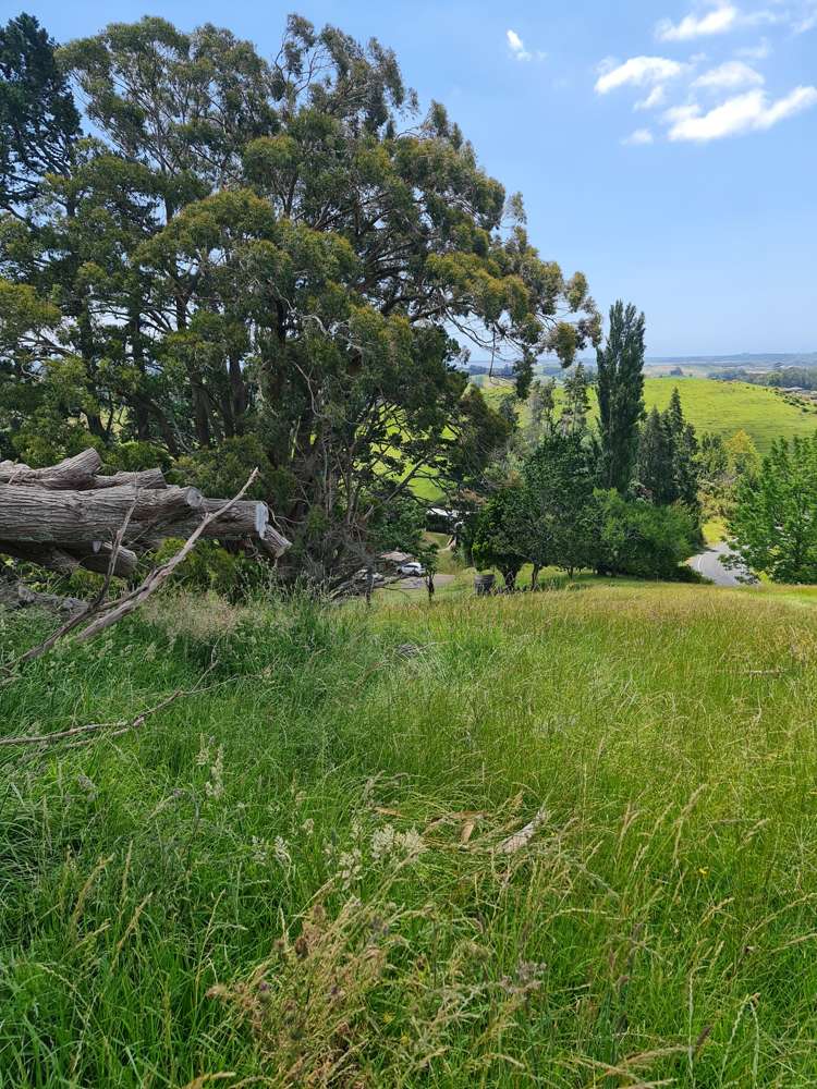 70 Whakamarama Road Whakamarama_14