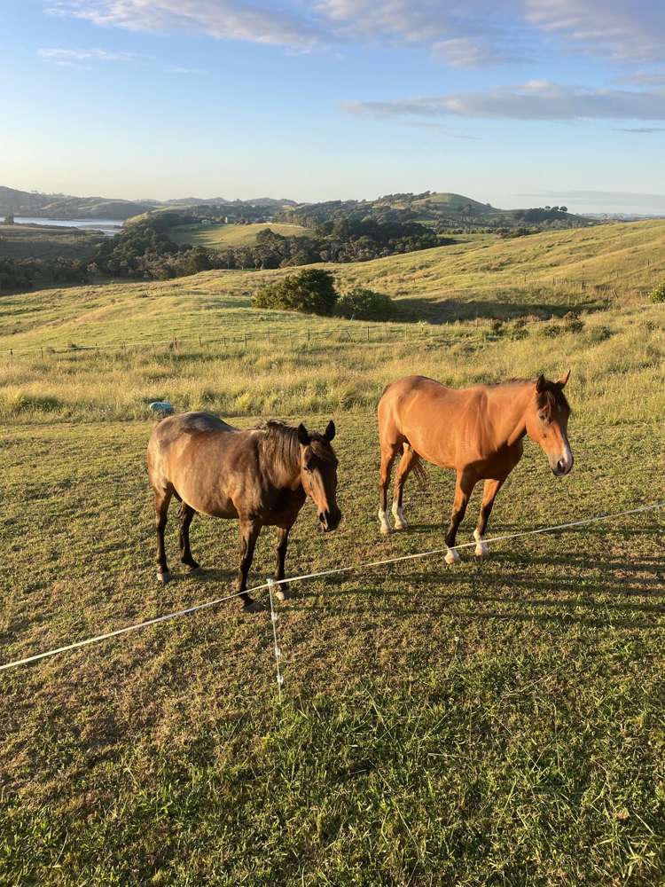 852 Oneriri Road Kaiwaka_65