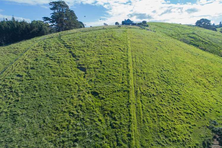 48 Waipouri Lane (Pvt) Tutukaka_24