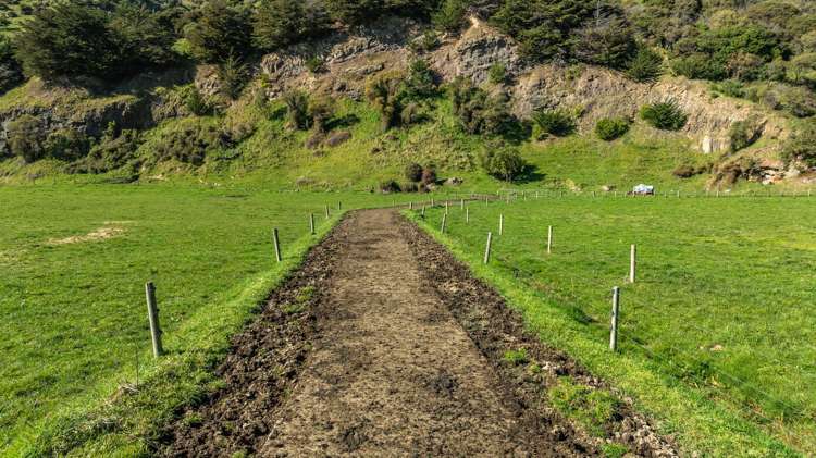 1234 Okains Bay Road Okains Bay_24