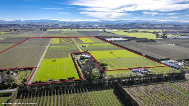 Kiwi Crunch Orchard Portfolio Twyford_2