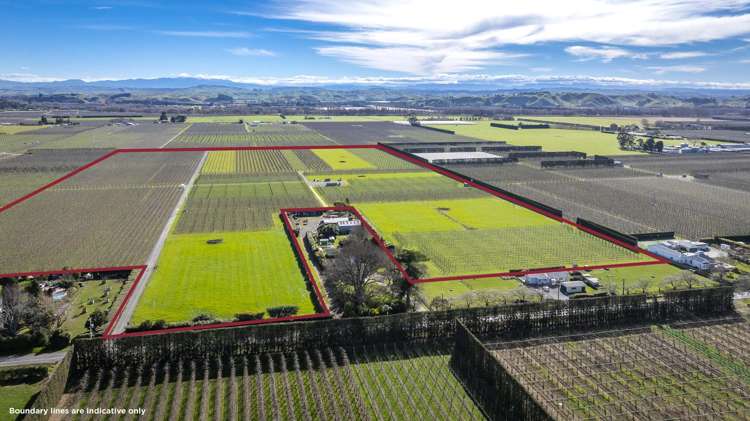 Kiwi Crunch Orchard Portfolio Twyford_2