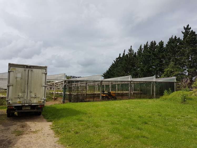 2 Lyn Reta Way Tuakau_5