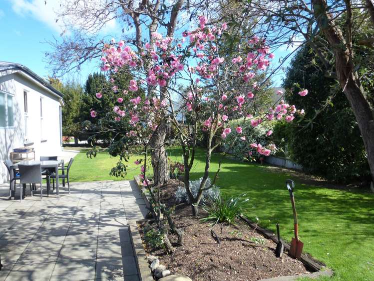 79 Hazlett Street Clyde_13