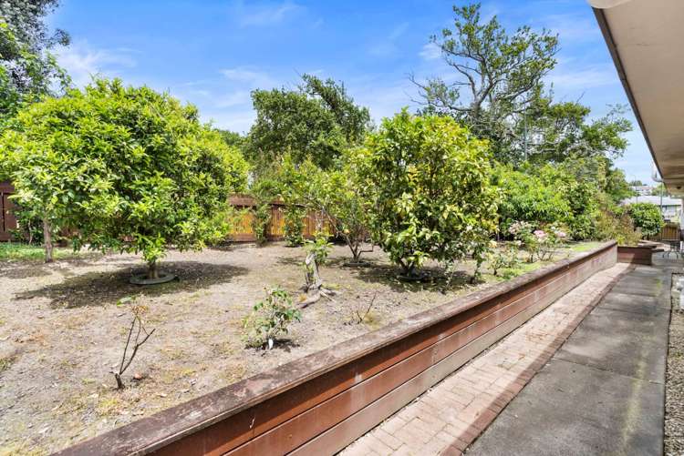 3 Carling Avenue Massey_24