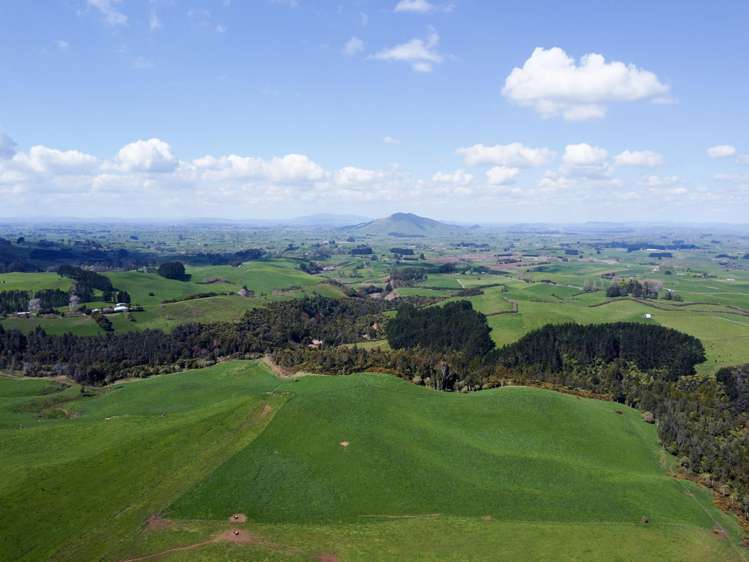 870 Mangati Road Pirongia_47
