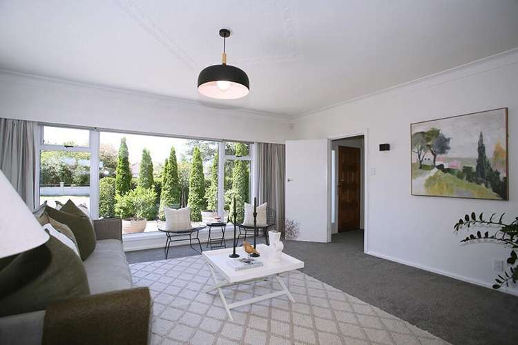 404 Kitchener Street Hastings_5