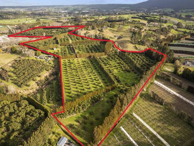 44 Walker Road West Katikati_3