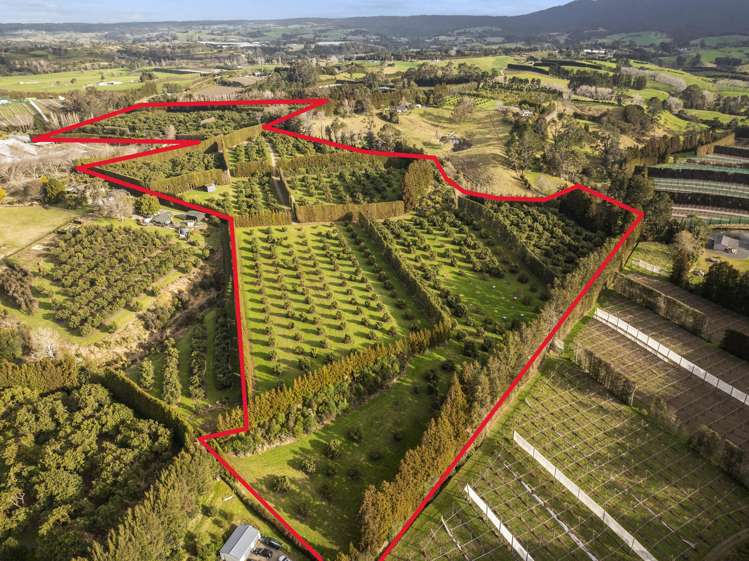 44 Walker Road West Katikati_2