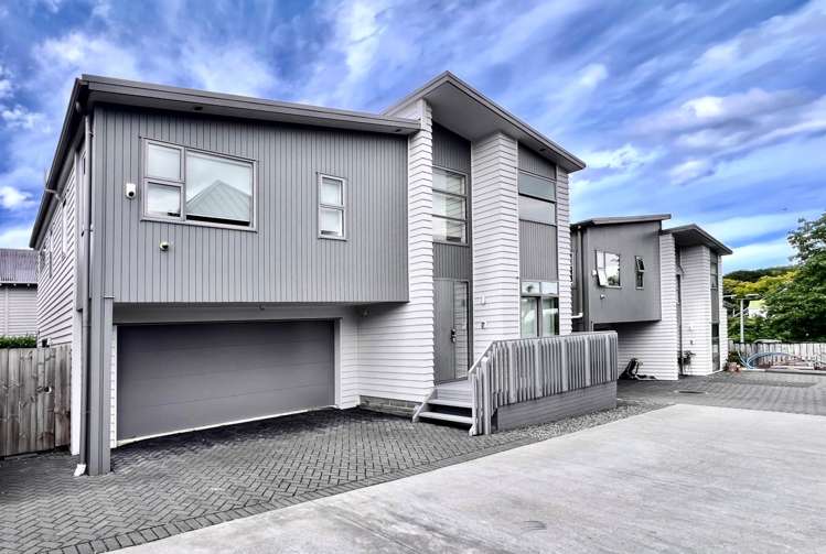 60B Pah Road Epsom_11