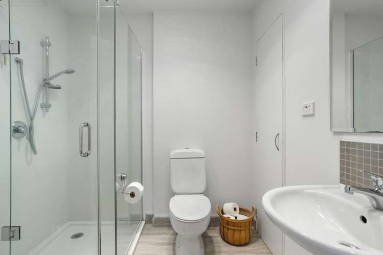 16 Harold Street Mount Eden_14