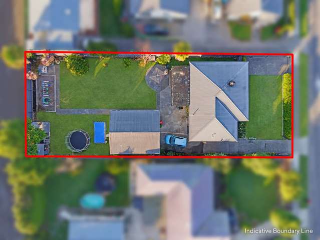 184 Guppy Road Taradale_2