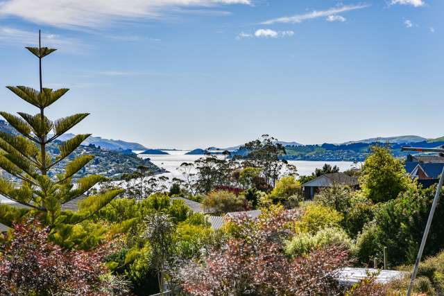 207 Larnach Road Waverley_2