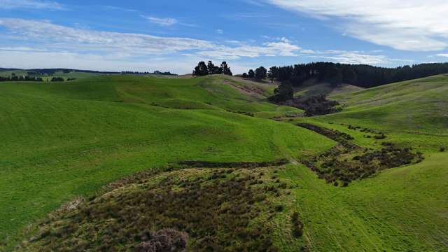 Glendhu Road Mataura_1
