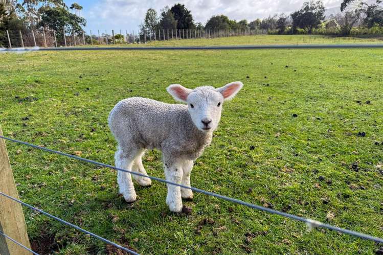 76 Parenga Road Te Horo_28