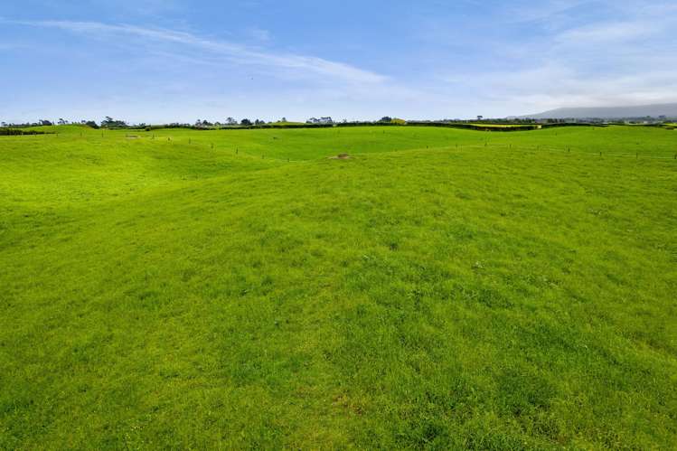 358 Opunake Road Cardiff_7