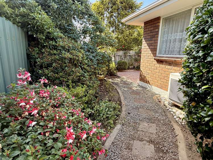 64 Maitland Street Strathern_30