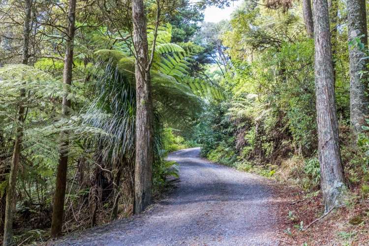 110 Garbolino Road Mangawhai_1