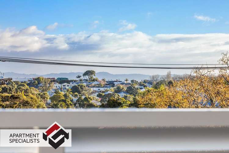 31 Scanlan Street Grey Lynn_5
