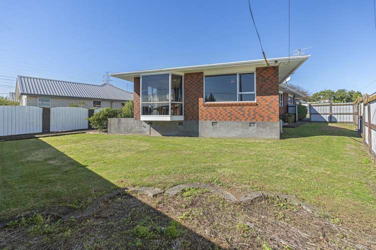 12 Saxton Road Upper Vogeltown_19