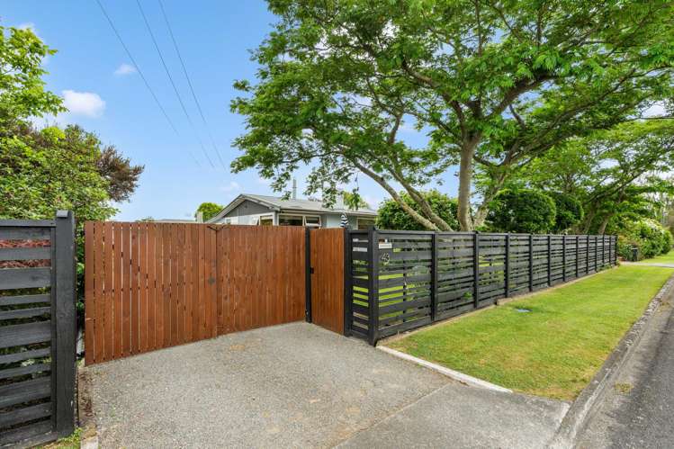 43 East Street Greytown_19