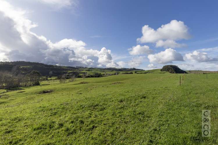 1242 State Highway 16 Waimauku_42