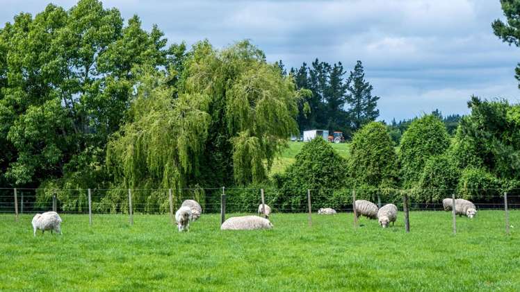 406 Gleniti Road Hadlow_24