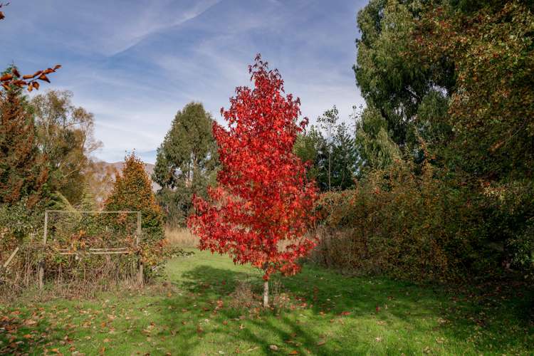 8 Roches Lane Lumsden Surrounds_9