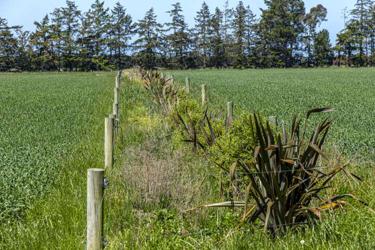 1394 Maronan Road Maronan_15